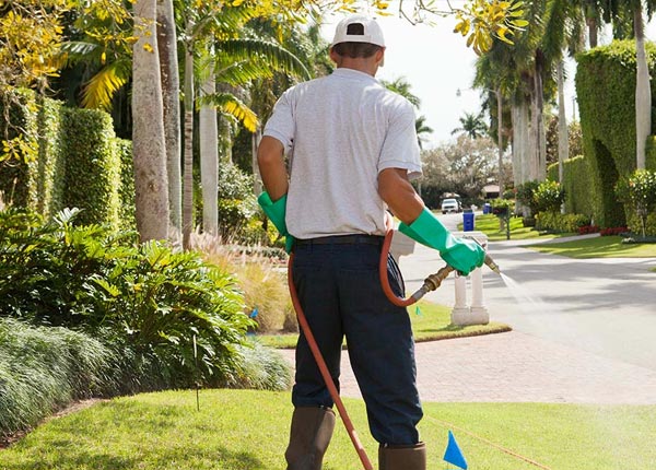 About Smock PA Pest Control Pros